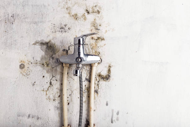 Best Emergency Mold Removal  in Clarksburg, MD