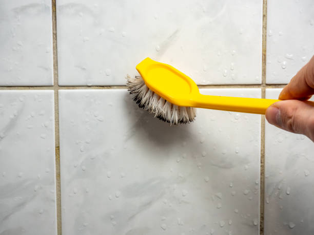 Best Fast Mold Removal  in Clarksburg, MD