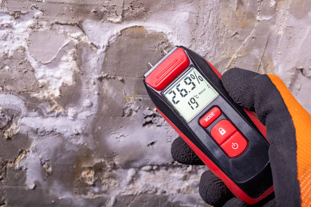 Best Mold Testing  in Clarksburg, MD
