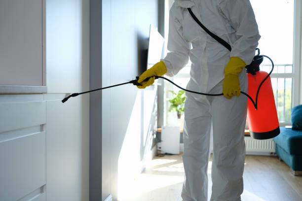 Best Mold Removal Company Near Me  in Clarksburg, MD