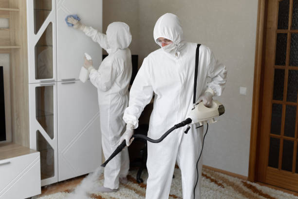 Professional Mold Removal in Clarksburg, MD