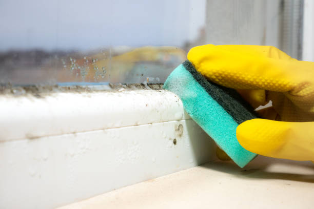 Crawl Space Mold Removal in Clarksburg, MD