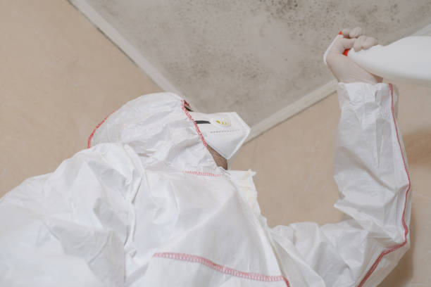Best Mold Testing  in Clarksburg, MD