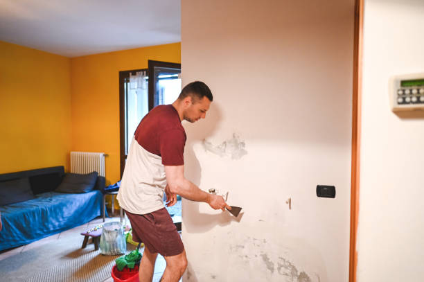 Mold Removal and Inspection in Clarksburg, MD